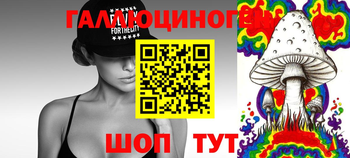 Мыски  Галлюциногенные грибы Cubensis  Вход с VPN 